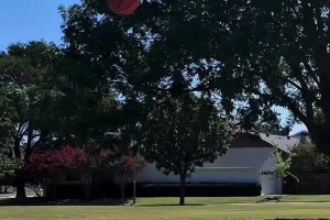 你们在实战中能做出这些动作吗？