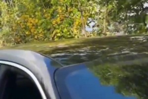 阿莫林开着保时捷上班心情大好，还好美女球迷合影留念