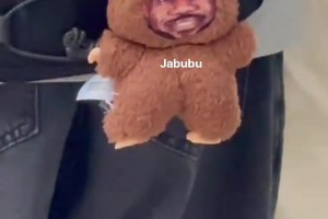 网友逛街偶遇有人书包挂着詹姆斯labubu